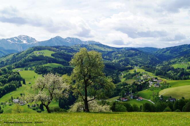 Frühling im Aurachtal