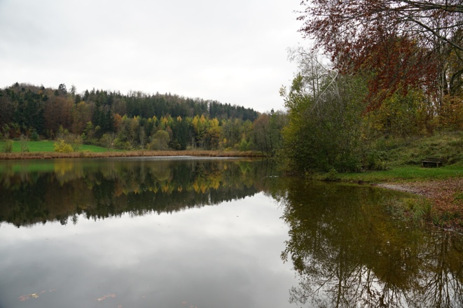 Vom Dietramszeller Waldweiher blickt man auf die nördlichen Ausläufer des Zeller Walds.