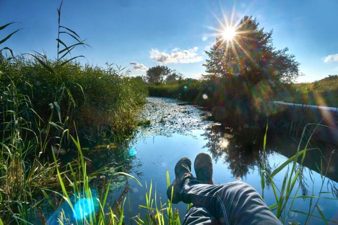 Idylle im Naturschutzgebiet &quot;Goldau&quot;
