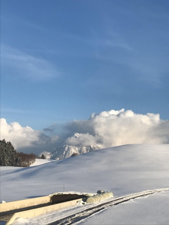 Ausblick