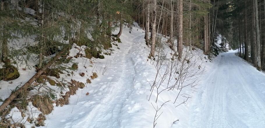 alternativ kann auch der Fußsteig genommen werden, hier müssen allerdings die Skier meist getragen werden