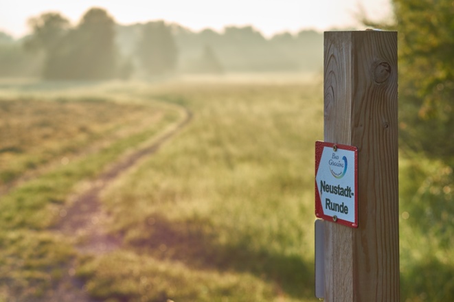 Wiesenlandschaft zwischen Bad Gögging und Neustadt