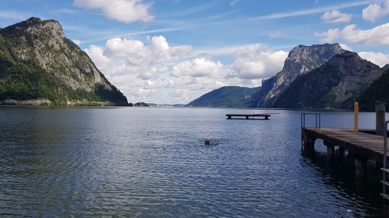 Ausblick auf den Traunsee