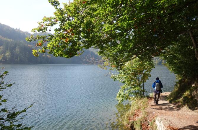 Hechtsee Uferpfad
