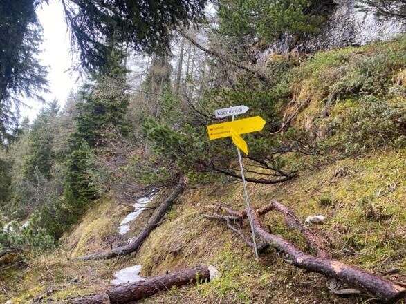 Abzweig zum Köglhörndl