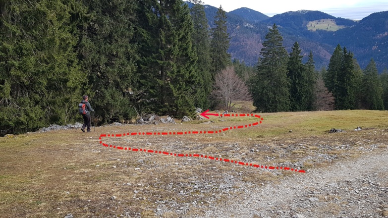 Gleich nach dem Wegweiser Innerwaldaug undeuliche Spur