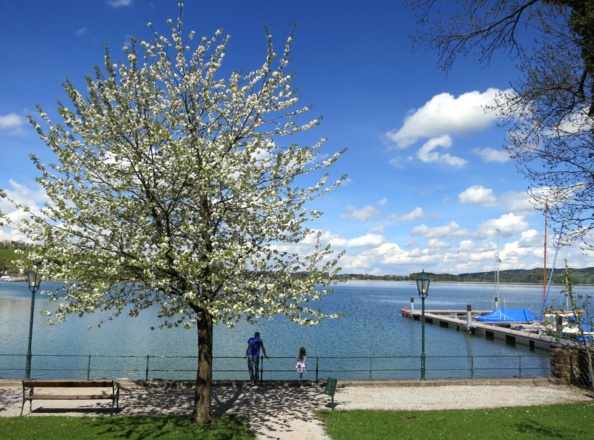 Von der Seepromenade führt der letzte Wegabschnitt um den Schlossberg.