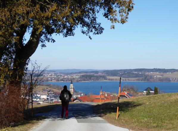 Am Rückweg von Pfaffenberg nach Mattsee.