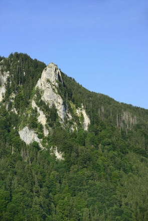 Blick vom Petersberg