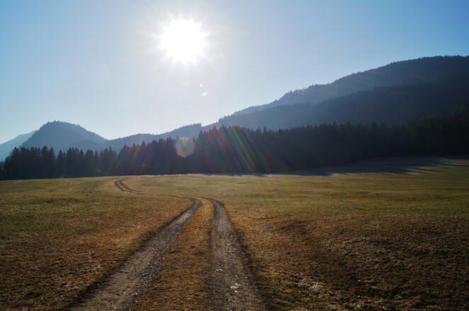 Los geht’s über die Felder, immer der Sonne entgegen.