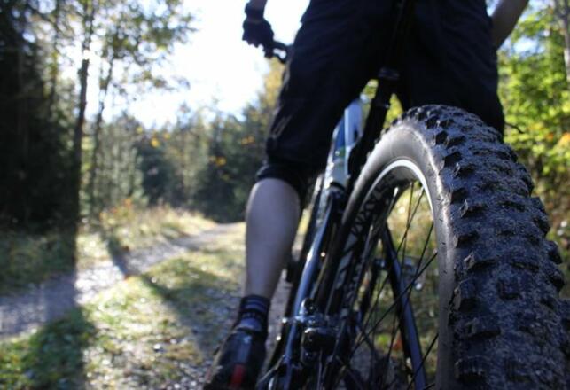 Mountainbiken in Tannheim