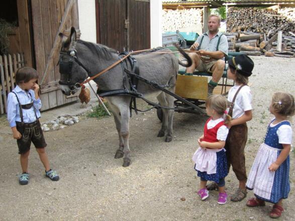 Eselkutschenfahrt für Kinder