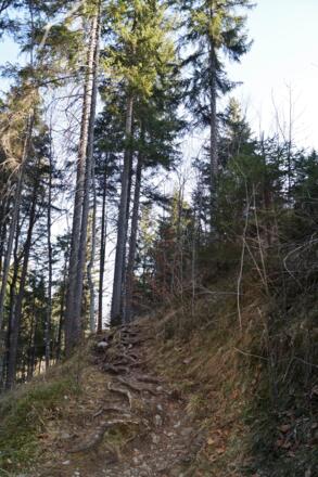 Der Steig führt zunächst durch den Wald, dann über freie Wiesen weiter hinauf