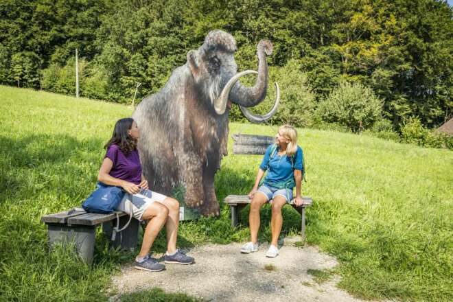 Bank Nr.  190 Mammut Bankerl