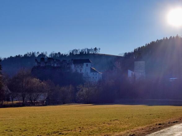 IMG_20220311_163004-BurgruineReichenstein