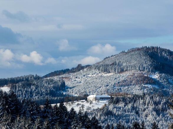 RANGJUNG YESHE GOMDE Deutschland-Österreich