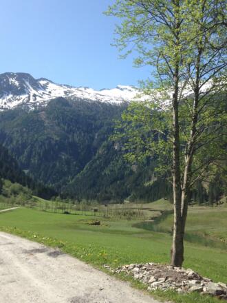 Auf dem Weg zum Ötzelsee