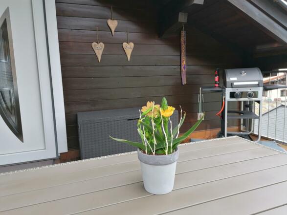 Terrasse 3