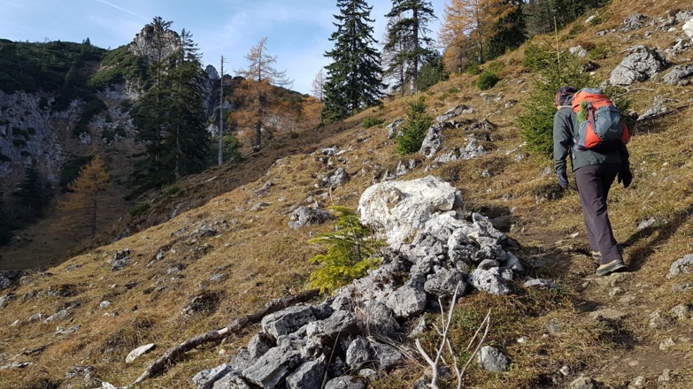 Nach der Brandlbergalm zum Sattel zwischen Spitzstein und Brandlberg