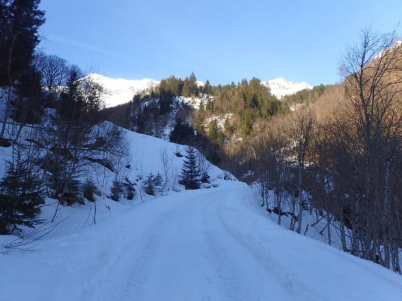 Am Guggernbachweg kurz vor der Abzweigung des Anstieges zur Grüneckkogelscharte