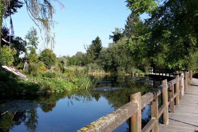 Weiher Albaching