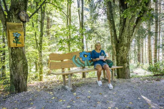 Bankerl Nr. 2 Alpen-Enzian