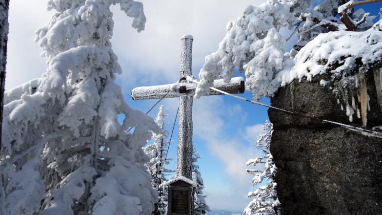 Schönbergfelsen 1305m