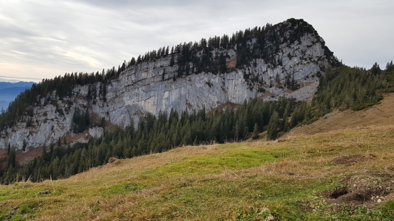 Der mächtige Spitzstein