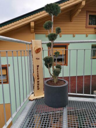 Terrasse 9
