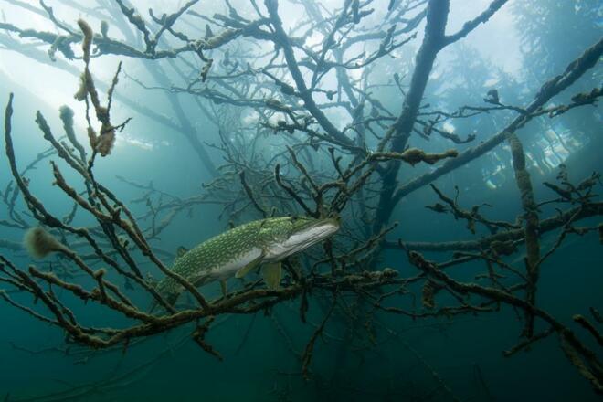 Adventure Diving