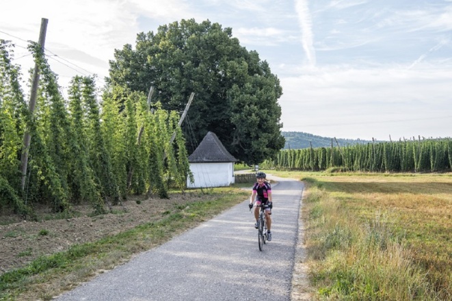 Entlang der Hallertautour
