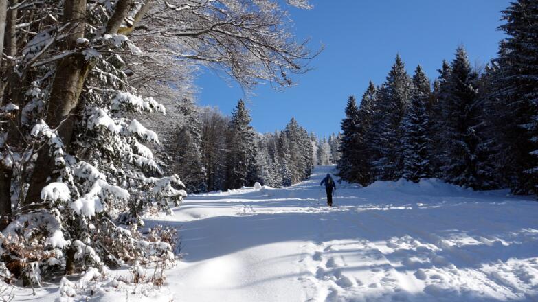 Rechte Piste