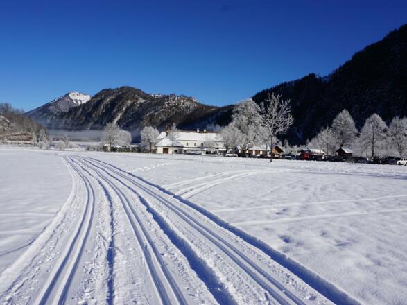 Langlaufloipe Almsee - Blick aufs Seehaus