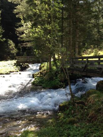 Wir queren den Wildbach...
