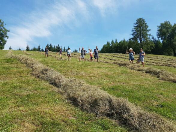 Heumahd auf der Hacklbergwiese, Scharnstein
