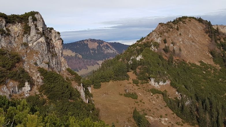Rückblick zum Sattel zwischen "Spitzstein und Brandlberg"