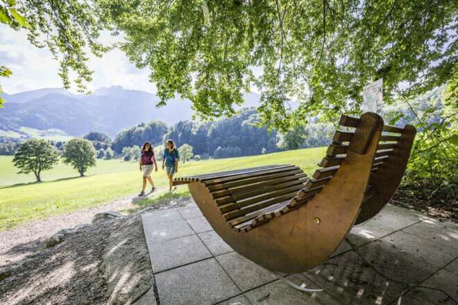 Bankerl Nr. 11 - Aschauer Irxnschmoiz-Liege