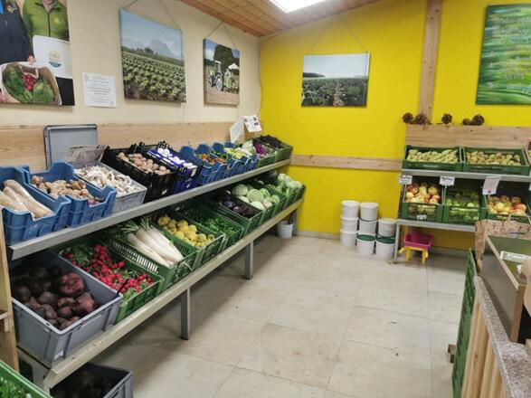 Gemüse Kirchgatterer - Eigenaubau