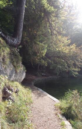 Hechtsee Uferpfad