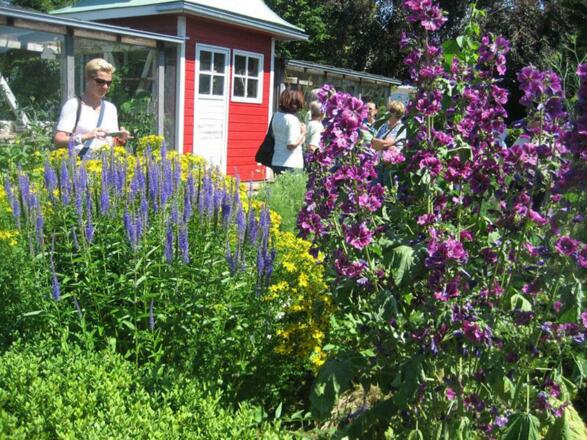 Veronikas Garten in Pettenbach
