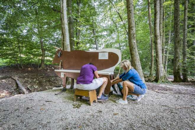 Bank Nr. 9 Milli-Liesl Melken ausprobieren