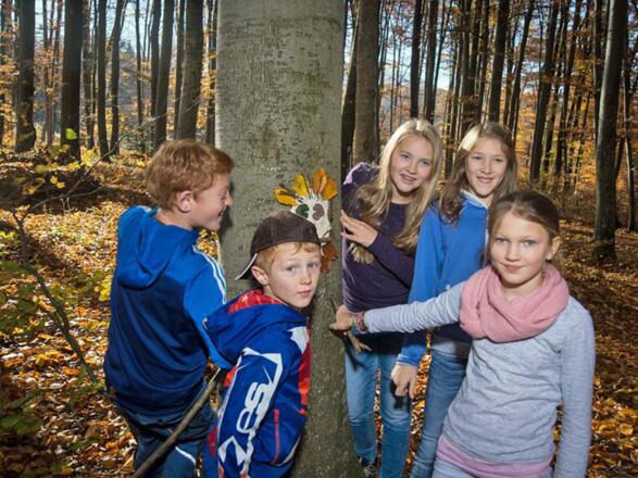 Wald und Berg Waldabenteuer