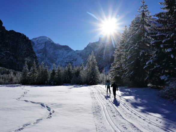 Langlaufen beim Almsee