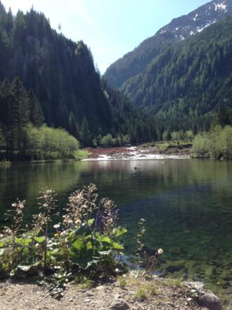 Ötzelsee