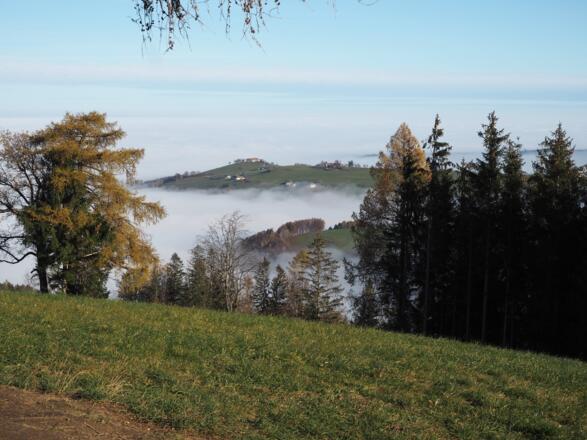 Blick in die Landschaft bei Oberschlierbach