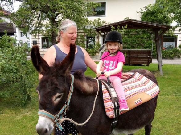 Eselreiten für Kinder
