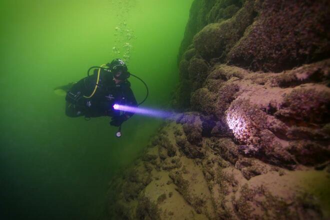Adventure Diving - Taucher