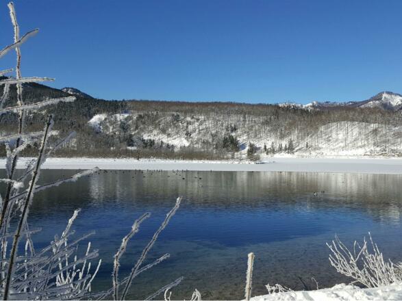 Almsee Winterstimmung