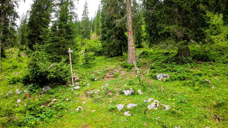 Umkehrplatz Saugrube Startpunkt Wanderung zur Goisererhütte