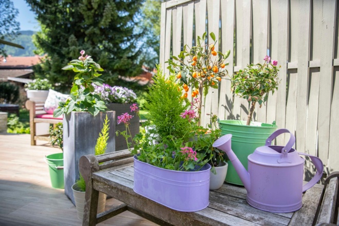 Garten